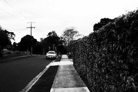 Suburban street